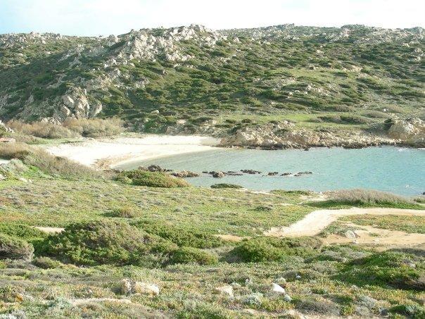 Villetta Cenni Santa Teresa Gallura Dış mekan fotoğraf
