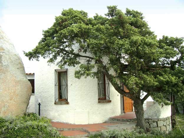 Villetta Cenni Santa Teresa Gallura Dış mekan fotoğraf